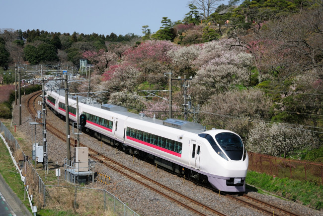 Обои картинки фото техника, поезда, поезд