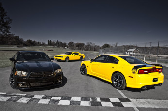 Картинка 2012 dodge charger srt8 super bee автомобили