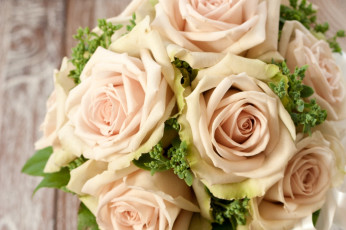 Картинка цветы розы беж лепестки