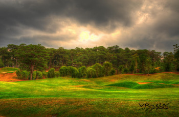 Картинка природа лес hdr