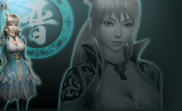 Картинка видео игры dynasty warriors