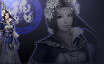 Картинка видео игры dynasty warriors