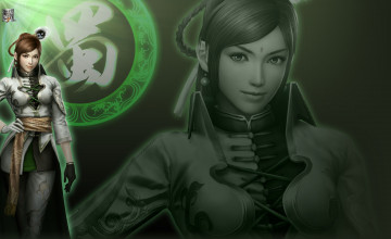 Картинка видео игры dynasty warriors