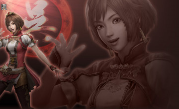 Картинка видео игры dynasty warriors