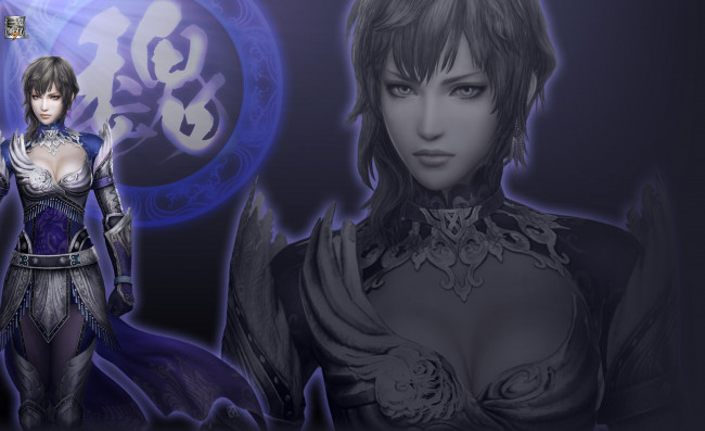 Обои картинки фото видео, игры, dynasty, warriors