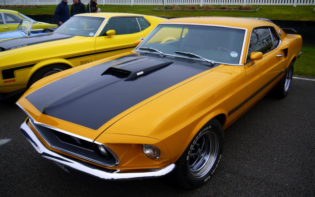 Обои картинки фото автомобили, выставки, уличные, фото, mach, 1, mustang