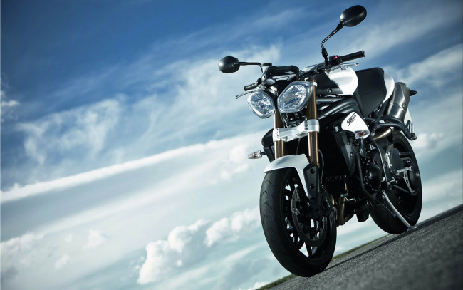 Обои картинки фото мотоциклы, triumph