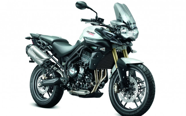 Обои картинки фото мотоциклы, triumph