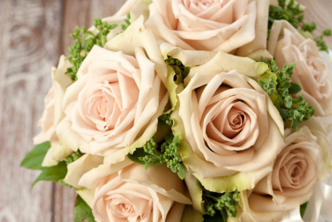 Обои картинки фото цветы, розы, беж, лепестки