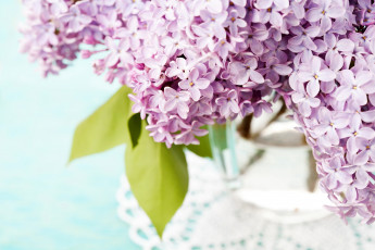 Картинка цветы сирень ваза