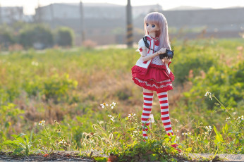 Картинка разное игрушки кукла