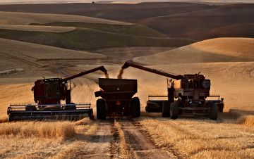 Картинка техника комбайны поле комбайн