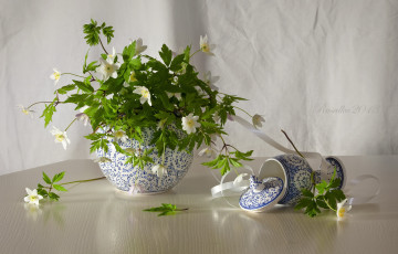 Картинка цветы ветреницы +печёночницы букет