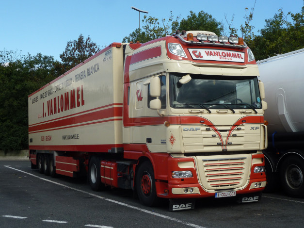 Обои картинки фото автомобили, daf , выставка, улица, грузовик, контейнеровоз, тягач