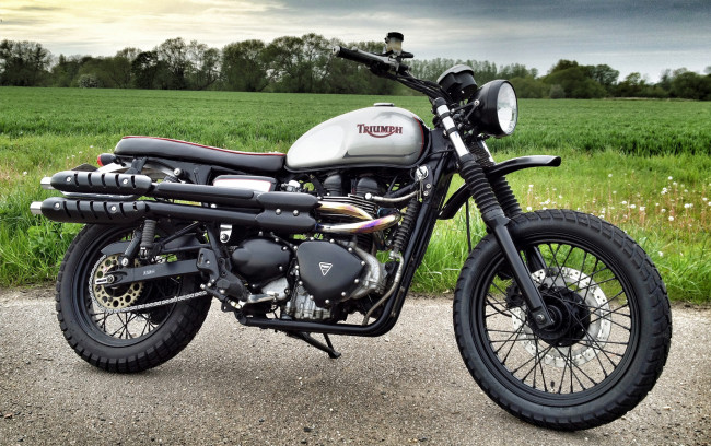 Обои картинки фото мотоциклы, triumph, мотоцикл