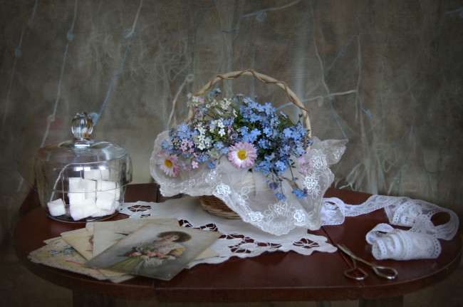 Обои картинки фото цветы, разные вместе, незабудки, маргаритки