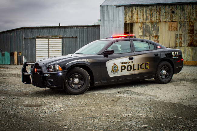 Обои картинки фото автомобили, полиция, dodge