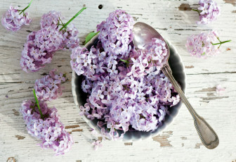 Картинка цветы сирень ложка миска ветки