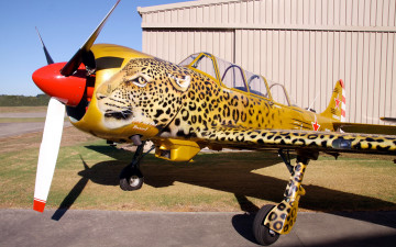 Картинка авиация лёгкие+одномоторные+самолёты двухместный моноплан тренировочный спортивно авиашоу цельнометаллический российский советский Як-52 yak-52 аэрография леопард крылом свободнонесущим низкорасположенным самолет коллекция частная club historical military