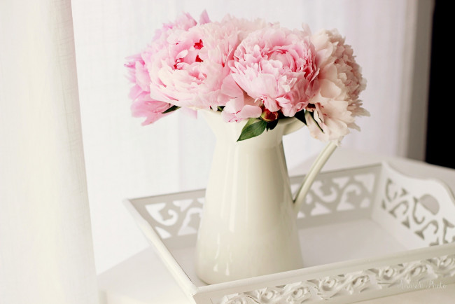 Обои картинки фото цветы, пионы, букет