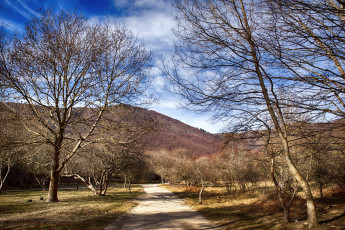 Картинка природа дороги тракт