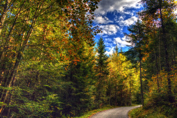 Картинка природа дороги тракт