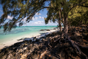 Картинка природа побережье берег море