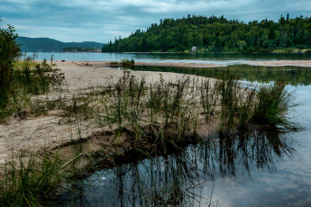 Картинка природа реки озера река лес