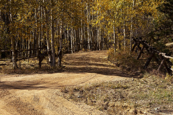 Картинка природа дороги тракт