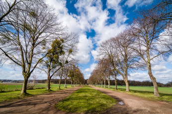 Картинка природа дороги тракт