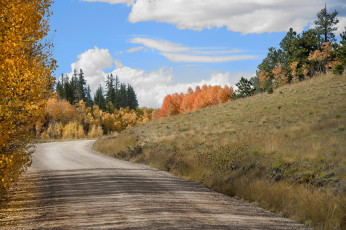 Картинка природа дороги тракт