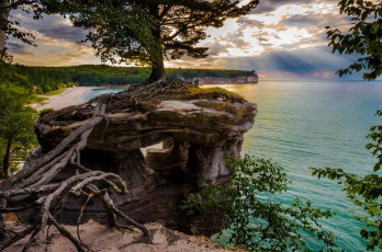 Картинка природа пейзажи утес дерево