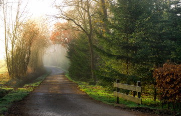 Картинка природа дороги тракт