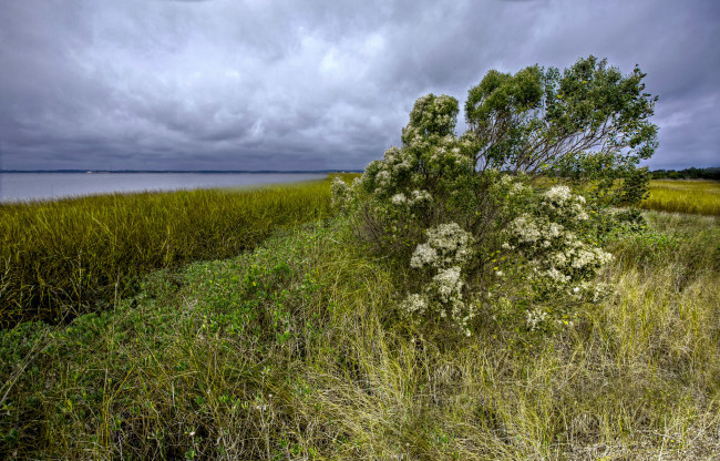 Обои картинки фото природа, побережье, берег, море