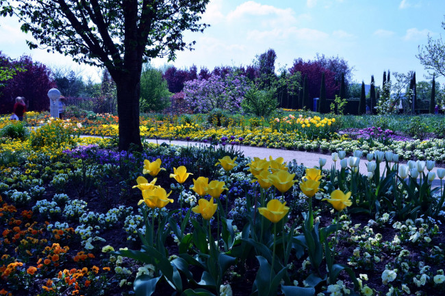 Обои картинки фото природа, парк, клумбы, цветение, весна