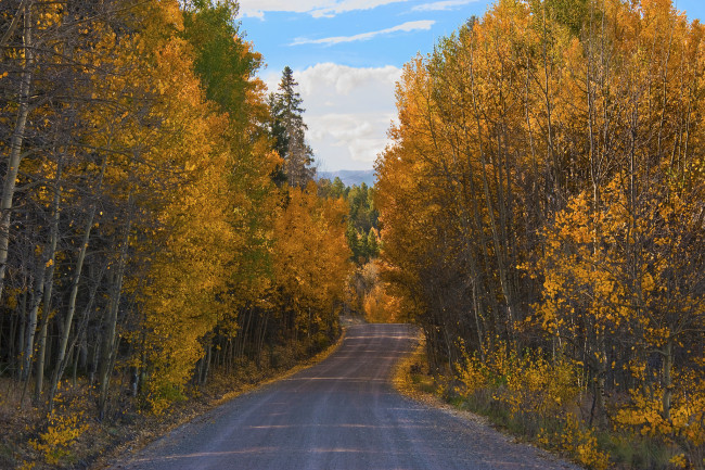Обои картинки фото природа, дороги, тракт