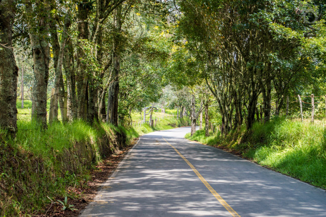 Обои картинки фото природа, дороги, тракт