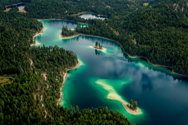 Обои картинки фото природа, реки, озера, лес, река