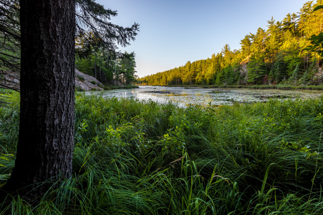 Обои картинки фото природа, реки, озера, река, лес