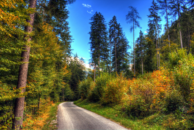 Обои картинки фото природа, дороги, тракт