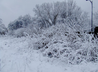 Картинка природа зима снег деревья