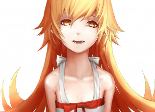 Картинка аниме bakemonogatari девочка