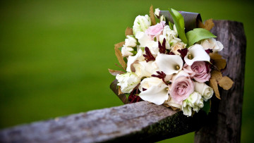 Картинка цветы букеты +композиции розы каллы тюльпаны