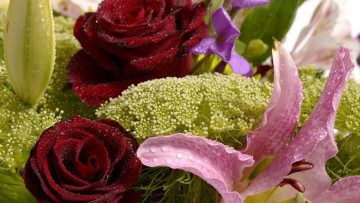 Картинка цветы разные+вместе розы капли лилии