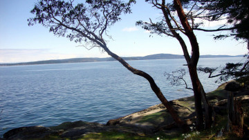 Картинка природа реки озера водный простор