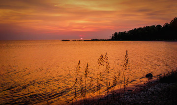 Картинка природа побережье рассвет