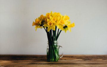 Картинка цветы нарциссы букет