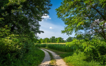 Картинка природа дороги тракт