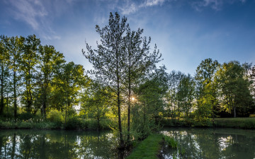 Картинка природа реки озера лес река