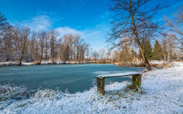 Картинка природа реки озера лес река